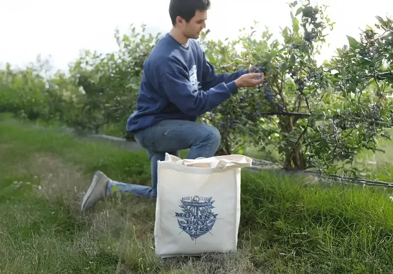 casos exito bolsas tote bags mexico